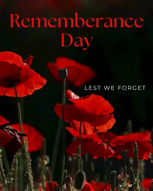 Remembrance Sunday – Honouring and Remembering image